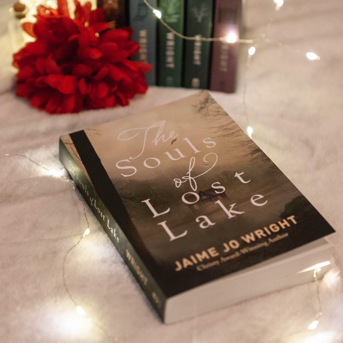 The Souls of Lost Lake by Jaime Jo Wright